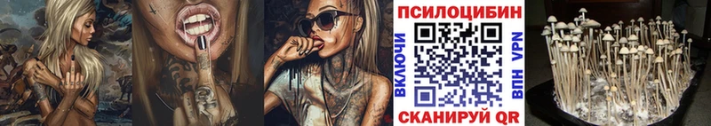 Псилоцибиновые грибы прущие грибы Перевоз